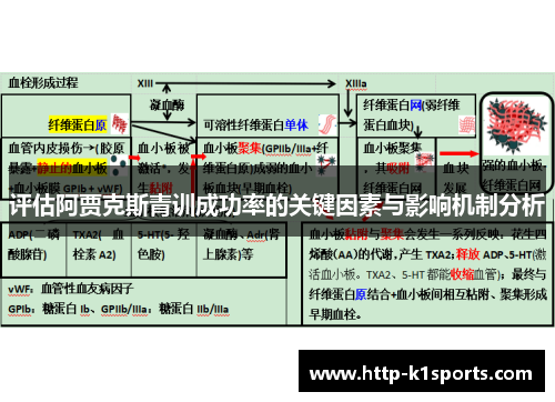 评估阿贾克斯青训成功率的关键因素与影响机制分析